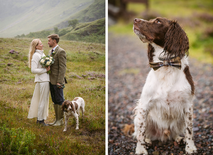 a bride and groom stand on a heather moorland with a spaniel dog on left. A spaniel dog wearing a tartan bow tie sitting on stones on right