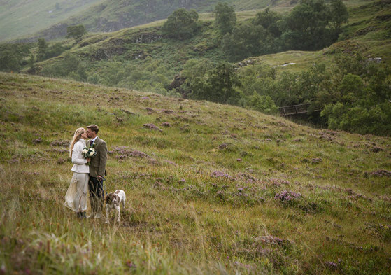 a bride and groom kissing in the heather covered hills of Glencoe in Scotland. They have a spaniel dog on a lead with them