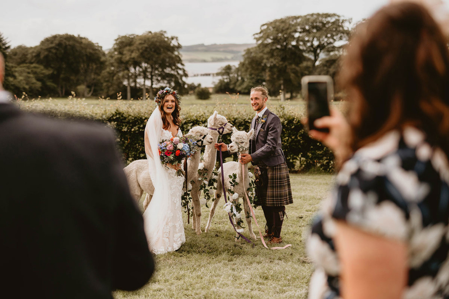 The couple smile beside three llamas 