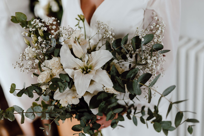 White flowers with green foliage