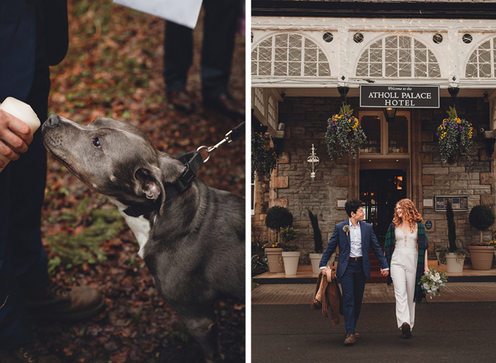 On the left a grey staffy dog, on the right two women walk out of a stone building holding hands 