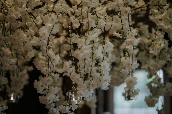 Cherry Blossom Tree