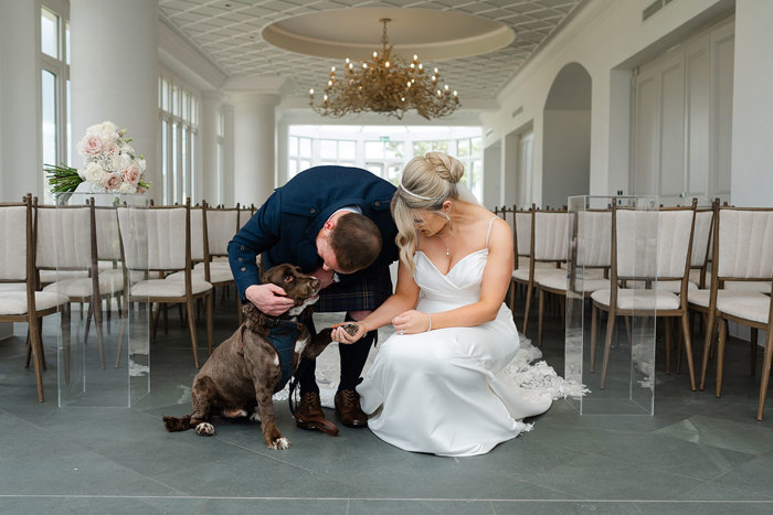 a bride and groom pet a spaniel dog in the Conservatory at the Old Course Hotel.