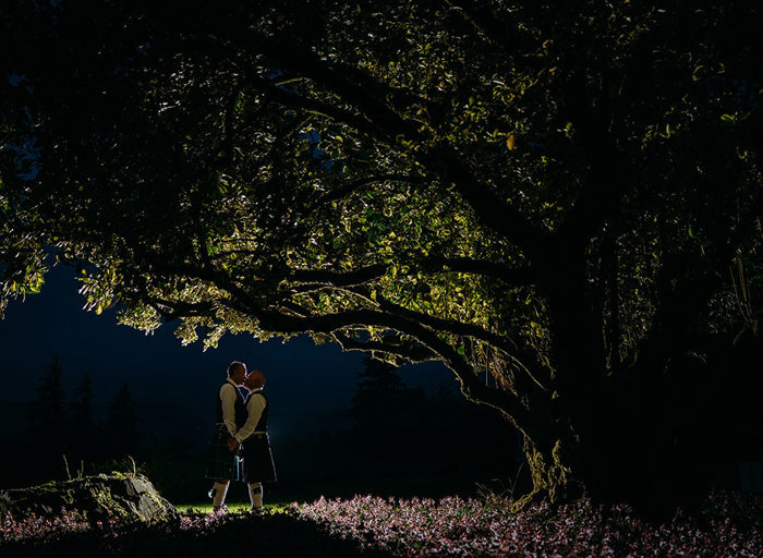 two grooms kiss while standing under a tree at night