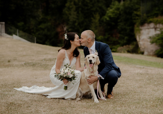 Newlyweds kiss in photograph with their golden retriever in between them