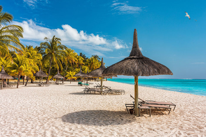 Palm trees on the tropical Le Morne beach, Mauritius. Tropical vacation background concept on Le Morne beach, Mauritius. Paradise beach on Mauritius island, palm trees, white sand, azure water.