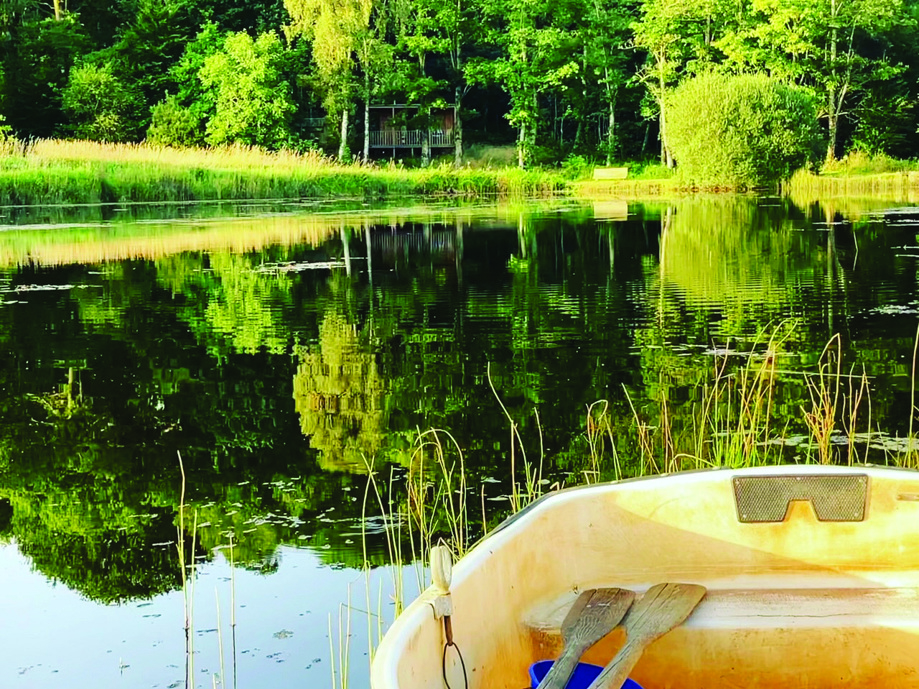 View of pond on a sunny day from a paddleboat 